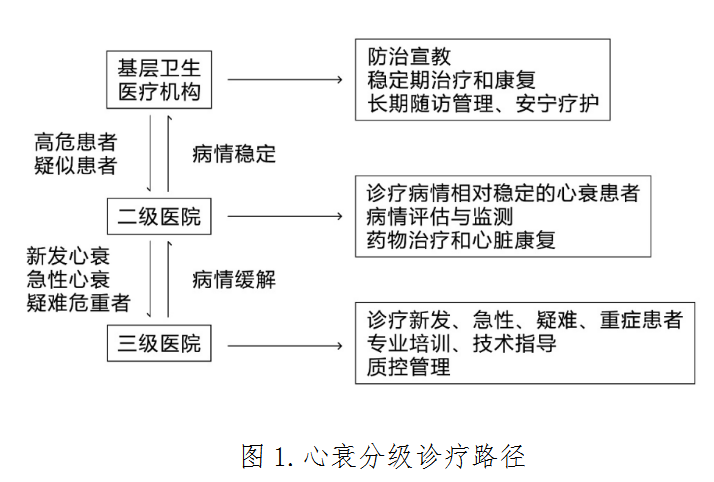 心力衰竭分級診療服務(wù)技術(shù)方案